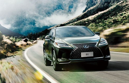 雷克萨斯rx300新款价格(雷克萨斯rx300新款价格和图片大全)