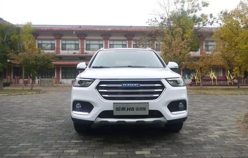 suv汽车(suv汽车排行榜)