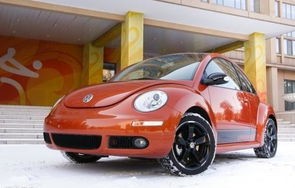 甲壳虫汽车多少钱