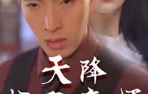 短剧天价豪宠的魅力与影响