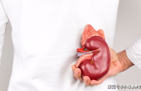 揭秘肾脏健康，六种食物，你或许不知道肾脏很怕