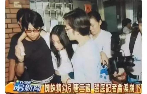 前妻更风光的短剧豪门蜜宠，113集的精彩纷呈