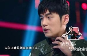 原来刘欢是湖南广电的家属——揭秘音乐巨星与湖南广电的深厚情缘