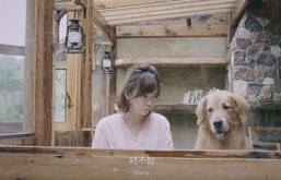 艾特的归途，主人带回遗体的故事