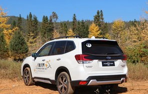 哪一代森林人最好(2021款森林人是第几代)