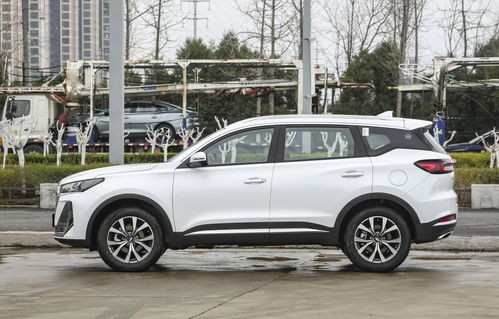 奇瑞2024新款(奇瑞2024新款车型上市)