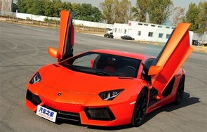 兰博基尼汽车报价及图片(兰博基尼汽车报价及图片及价格)