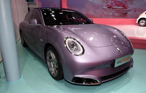 欧拉闪电猫(欧拉闪电猫图片)