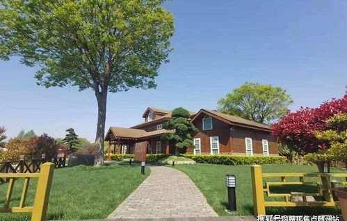 交警咨询免费24小时在线(苏州交警咨询免费24小时在线)