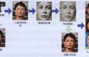 女子诈骗150万后整容换脸潜逃，一场惊心动魄的犯罪与追查