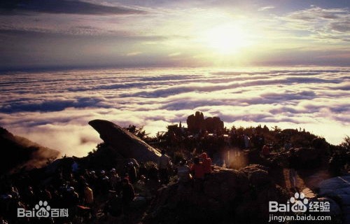 男大学生陪爬泰山，情绪价值溢满的青春之旅