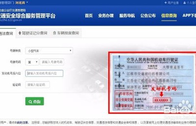 如何查询车辆违章(如何查询车辆违章信息记录)