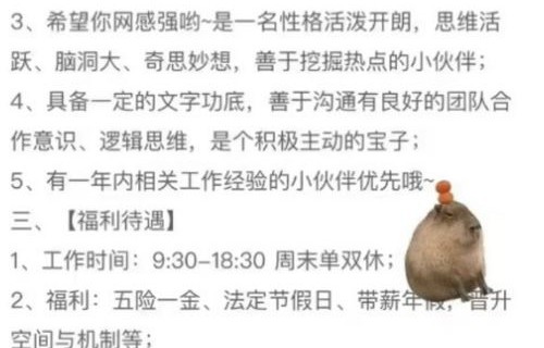 重生之路，短剧夫人再启华章