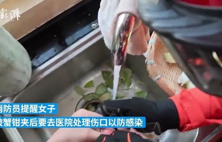 女子遭遇钳力，一公斤重螃蟹夹手，紧急求助119