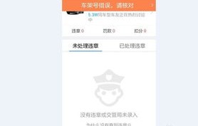 只输入车牌号查询违章(只输入车牌号查询违章记录)