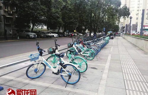 大哥川西之行，单衣骑行共享单车，追寻自然之美