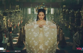 短剧女王,65集的魅力与影响