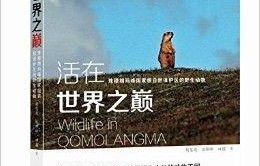 短剧大山的守护，七秩篇章，守护自然之魂