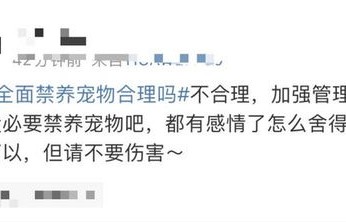 物业通知禁养宠物,人宠关系如何妥善处理?