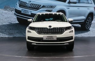 斯柯达汽车全部车型(斯柯达汽车 suv)