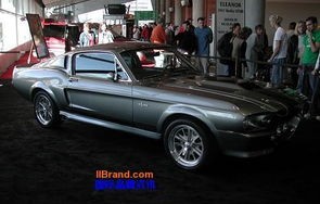 野马gt500多少钱(野马gt500多少钱一辆)