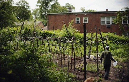 荒地变菜园，法国荒地被中国人开垦的奇迹