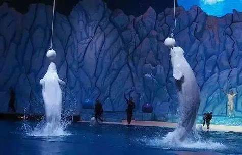 东北风情三日游，冰坑里的两天奇妙之旅