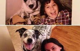 papi酱，杨子成长路上的忠实伴侣——狗的陪伴与成长