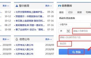 只输入车牌号查违章