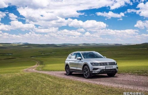 旅行车销量排行榜前十名(旅行车销量排行榜前十名自行车)