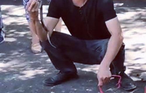 男子夜行遭遇毒蛇咬伤，倒地动弹不得——记一次惊心动魄的野外探险经历