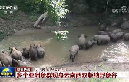 多名90后干部落马，为何早节不保现象值得深思