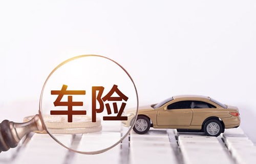 车险排名前十大公司(车险排名前十大公司大地车险)