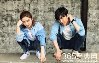 短剧陆总夫人野又甜——81集的甜蜜之旅