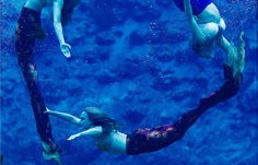 美人鱼表演者水下惊魂记，鲟鱼袭击事件