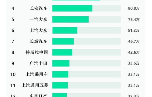 中国汽车销量排行榜官方网(中国汽车销量排行榜官方网站查询)