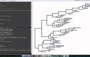 identify(identify翻译)