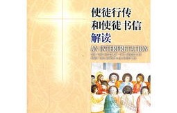 短剧万神殿的魅力与解读