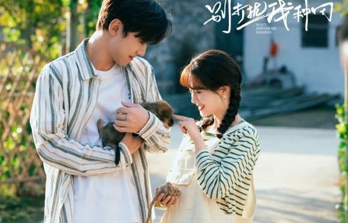 短剧的温暖，守护小小姐的纯真——79集的温情之旅