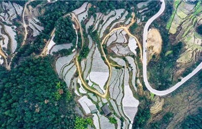 任泽平,倒车接人后再出发——以智慧与勇气引领新征程