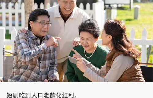 全员助攻下的豪门老公，73集短剧的魅力之旅