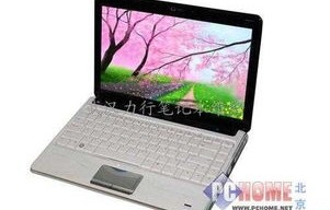 惠普笔记本电脑维修，专业解析与维护指南