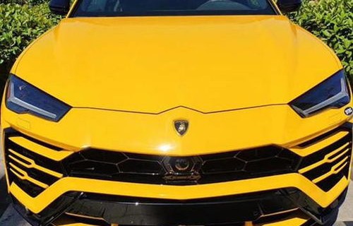 大牛兰博基尼(大牛兰博基尼suv多少钱)