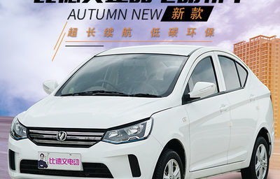 女士小型新能源电动汽车(女士新能源电动轿车)