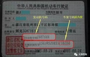 输入车牌号直接查违章交通违章(输入车牌号直接查违章交通违章沪AF97781)