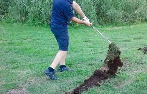为啥都推荐女孩子买高尔夫(买高尔夫的女生让人感觉穷吗)