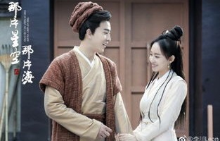 少帅夫人有点野，90集短剧的魅力之旅