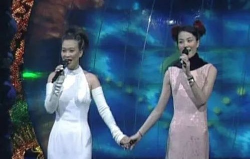 刘涛春晚拉萨分会场吸氧背后的拼搏精神