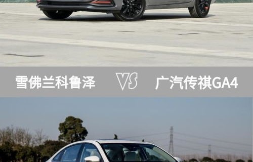 为什么内行人不买科鲁泽(为什么内行人不买科鲁泽呢?)