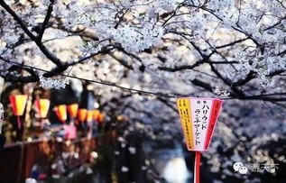 暮光落云川，一部引人入胜的短剧之旅